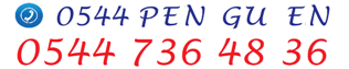 0544-PENGUEN